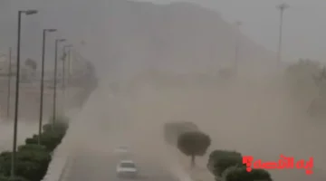 أمطار رعدية.. الأرصاد تحذر من تقلبات جوية تضرب 4 مدن سعودية الخميس 2025